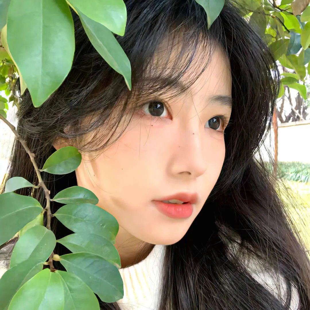 秘密森林