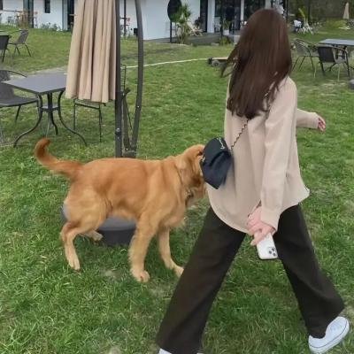 重生门